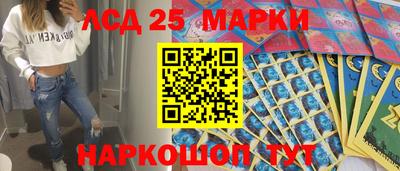 молекула духа Кулебаки