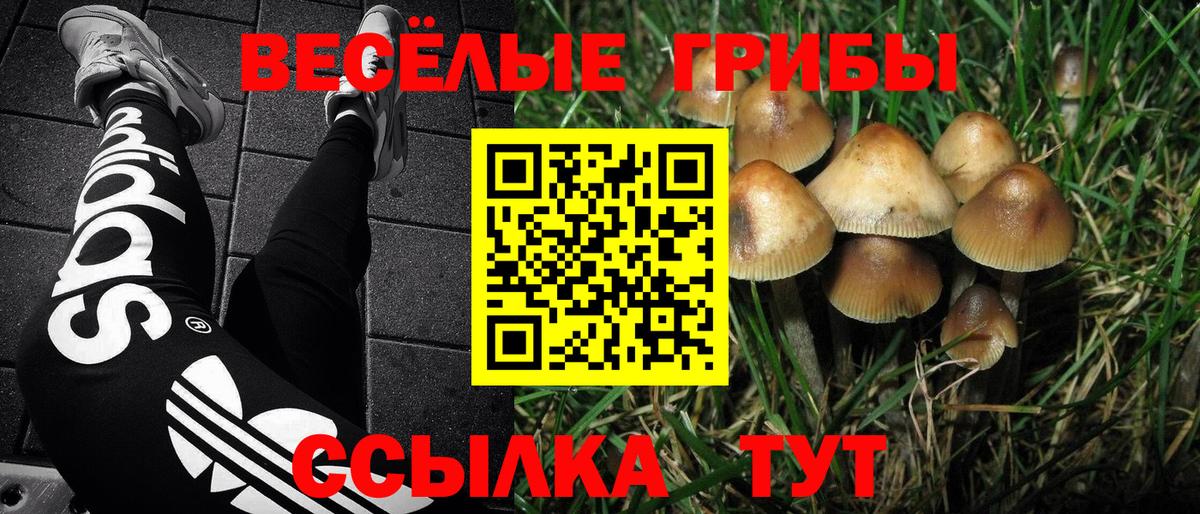 Вязьма  Галлюциногенные грибы ЛСД  Вход с VPN 