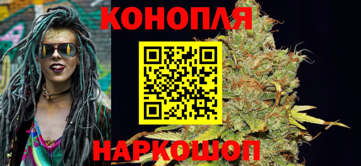 Бошки Шишки план Вязьма